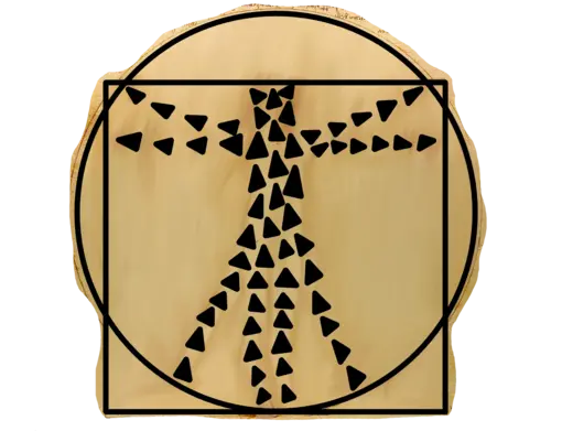 A drawn digital image of DiVinci's Vitruvian Man diagram with boids drawn over the top.